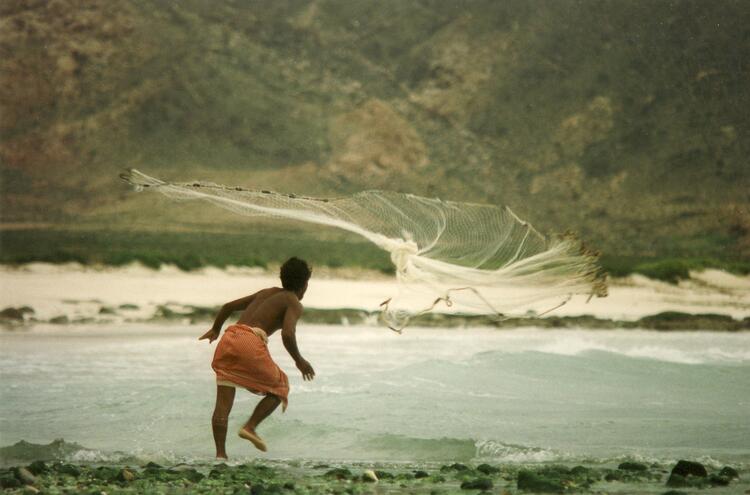 casting net casting net